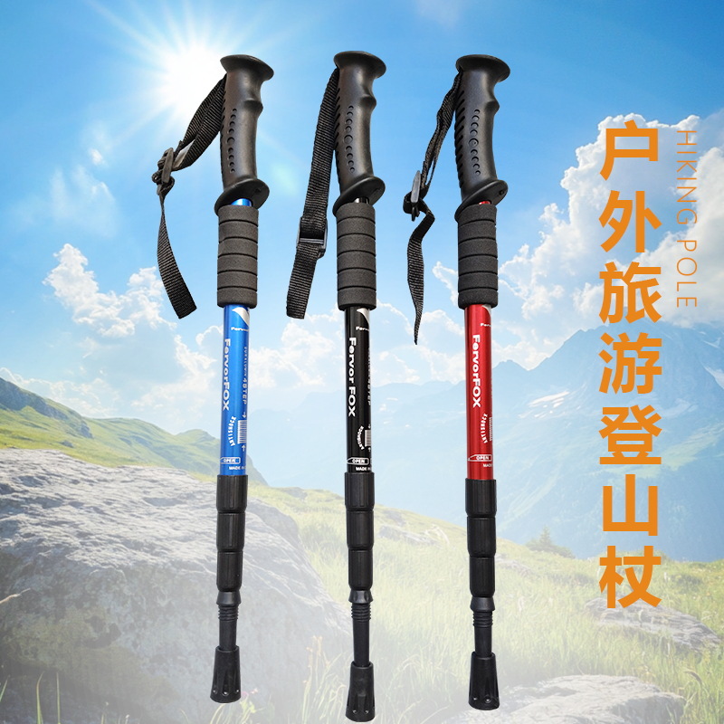 트레킹 폴 하이킹 스틱 조절 가능한 알루미늄 합금 4단 - Folding Walking Sticks Hiking Adjustable 리뷰 및 가격