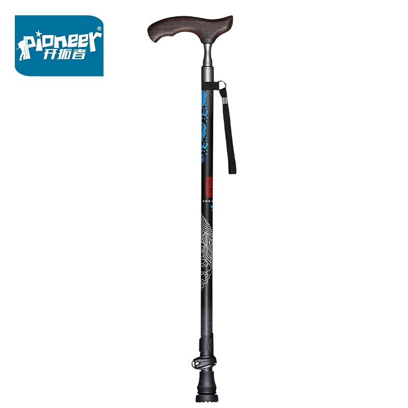 탄소 섬유 나무 T 핸들 관광 지팡이 트레킹을위한 워킹 - Nordic Walking Poles Carbon 100 리뷰 및 가격