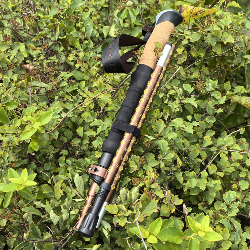 조절 가능한 휴대용 등산 스틱, 알루미늄 합금 소재,  - Folding Walking Sticks Hiking Adjustable 리뷰 및 가격